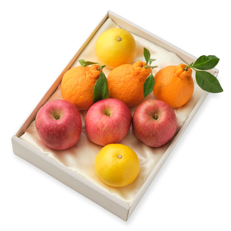 旬なりんごと柑橘食べ比べセット M（６個以上 ３種類以上） 厳選・安全検品