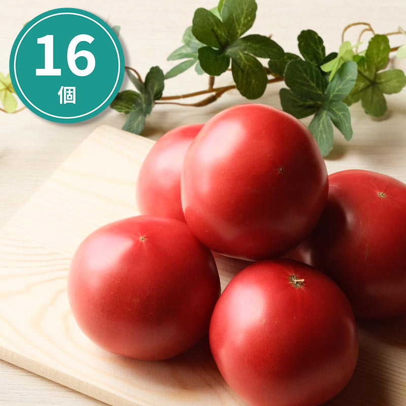 【濃厚！】久米のトマト くちづけ × １６個 ～ 石川の篤農家米林さんのブランドトマト ～