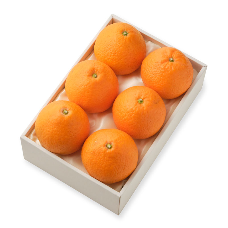 清見オレンジ ６個・・・厳選・安全検品