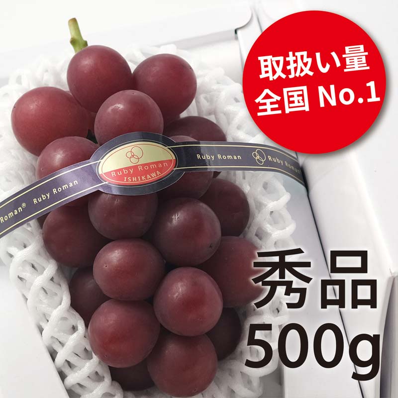 ルビーロマン（５００ｇ以上）×１房 ･･･ 「もっとも宝石に近い果実」と呼ばれる、石川県の最高級ぶどう 厳選・安全検品 送料無料