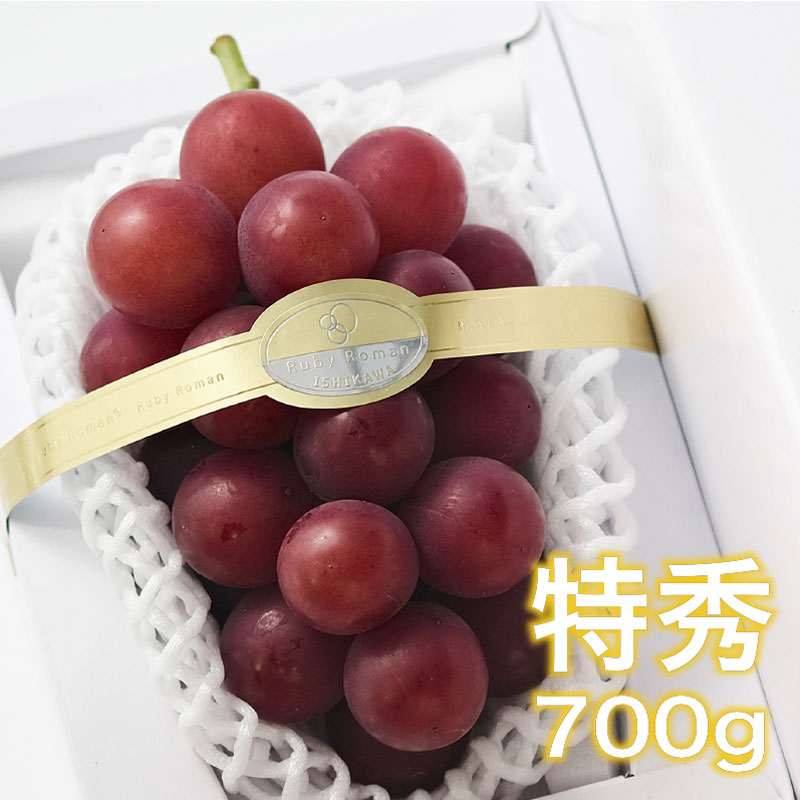 【 8/17以降 発送 】ルビーロマン 特秀（７００ｇ以上）×１房 ･･･ 石川県の最高級ぶどう 厳選・安全検品