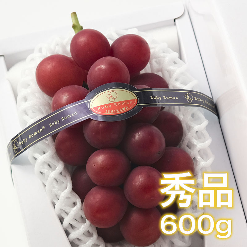【早割5%オフ】【 ～8/13 発送 】ルビーロマン（６００ｇ以上）×１房 ･･･ 石川県の最高級ぶどう 厳選・安全検品
