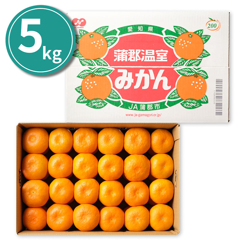 蒲郡温室みかん（ハウスみかん） （1箱：約5kg S（約60個）～L