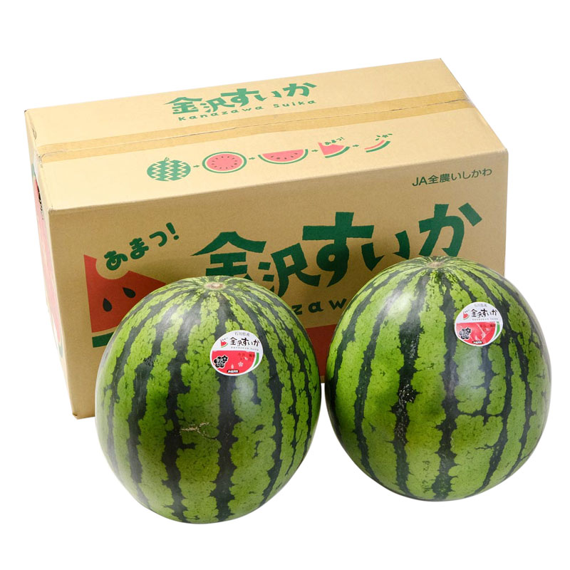 【金沢特産】シャリシャリ、甘い！金沢すいか （秀品 L～）×２ 玉 厳選・安全検品