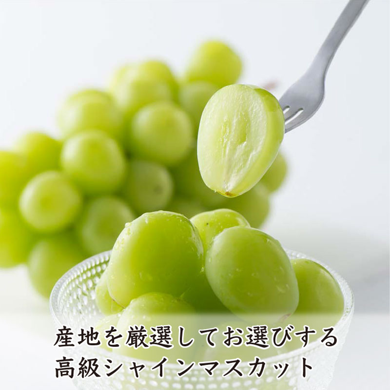 家庭用 シャインマスカット 約5kg 産地食べ比べ 早期発送！プレミアム ”温室シャインマスカット” 秀品 約5kg