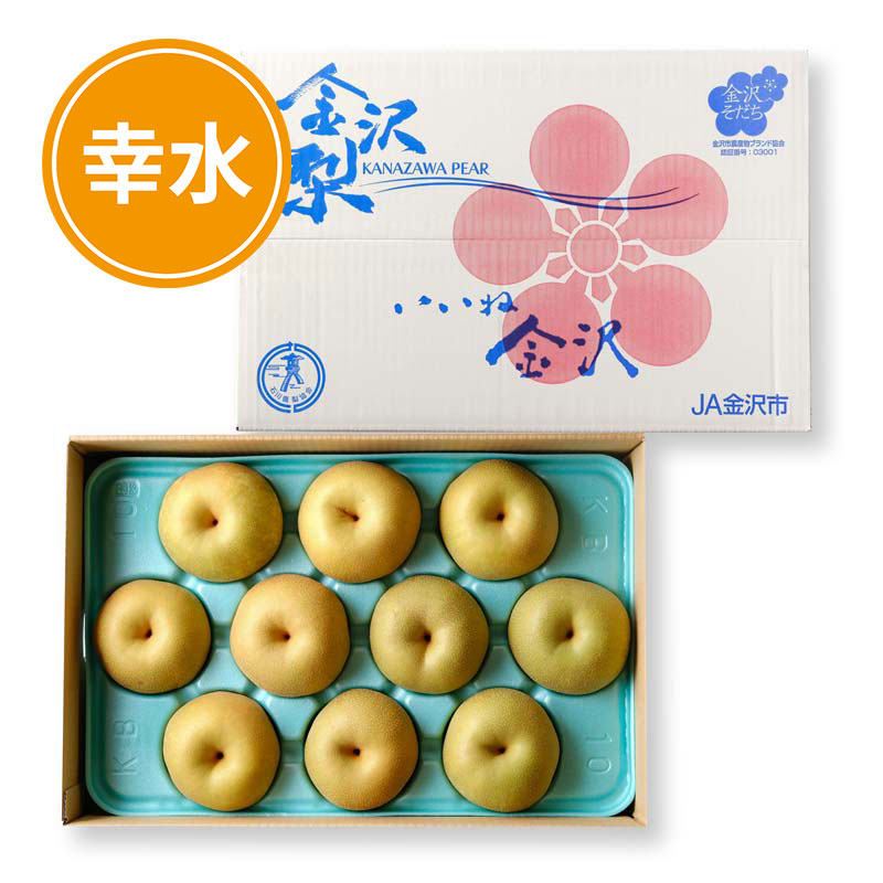 【8/18以降発送】抜群の瑞々しさ！金沢梨・幸水（秀品）×５ｋｇ（一箱 ９～１４個）