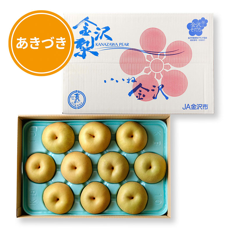 【9月発送】爽やかでジューシー！金沢梨・あきづき（秀品）×５ｋｇ（一箱 ９～１４個）