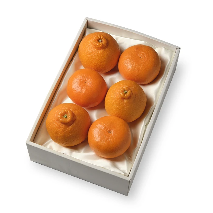 旬の柑橘詰め合わせ（2種類以上 合計5～7個）