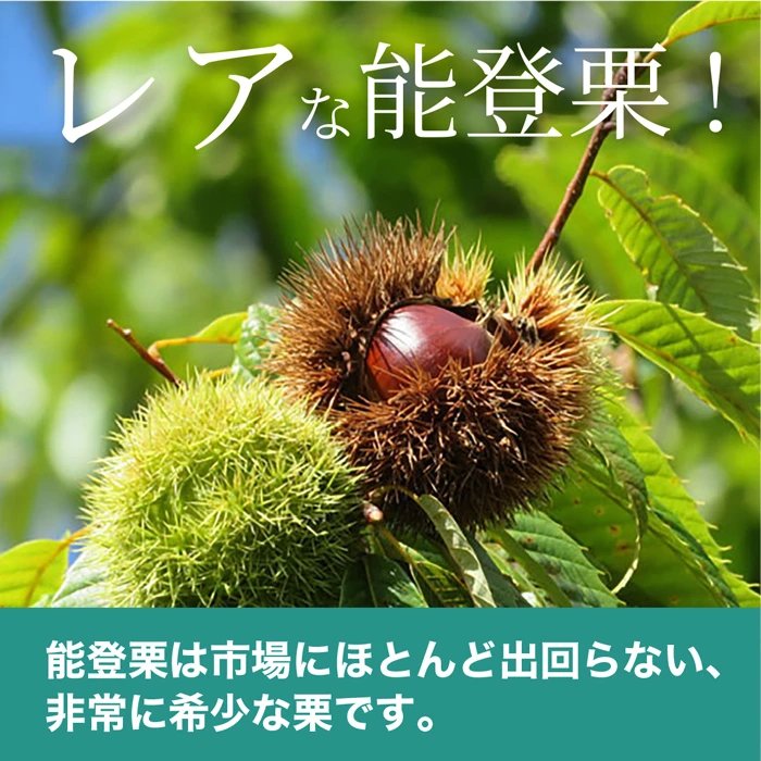 パウンドケーキ〈アソート8個セット〉八百屋のOYATSU Horita205