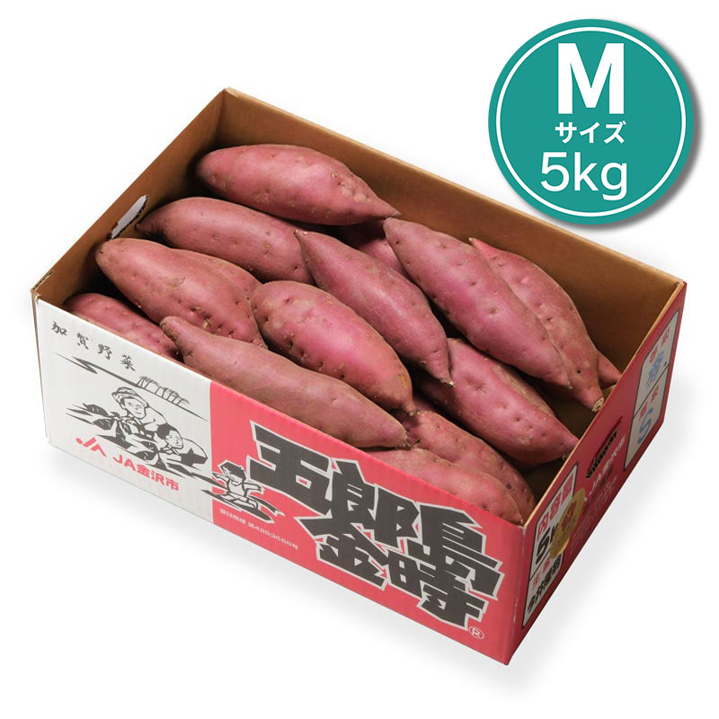 加賀野菜＞さつまいも五郎島金時（Mサイズ 3kg 約12本） 秀品