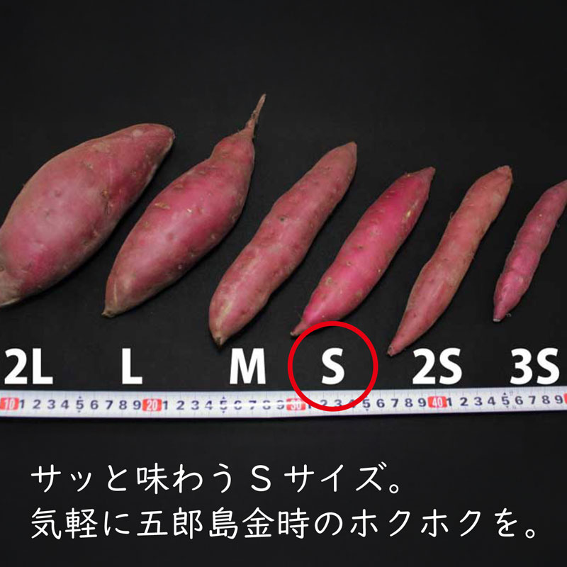 加賀野菜＞さつまいも五郎島金時（Sサイズ 5kg 約25～30本） 秀品