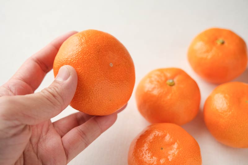 “蒲郡温室みかんの検品”