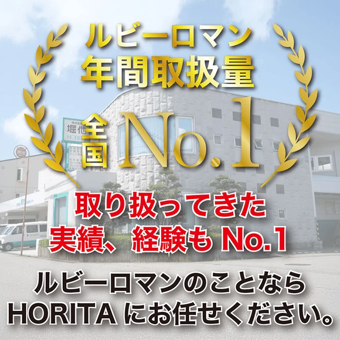 ルビーロマンのHORITA