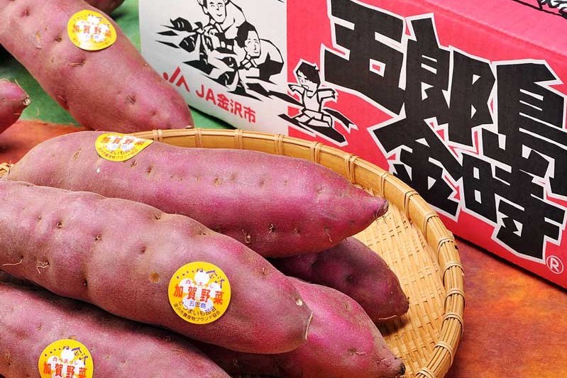 加賀野菜の五郎島金時