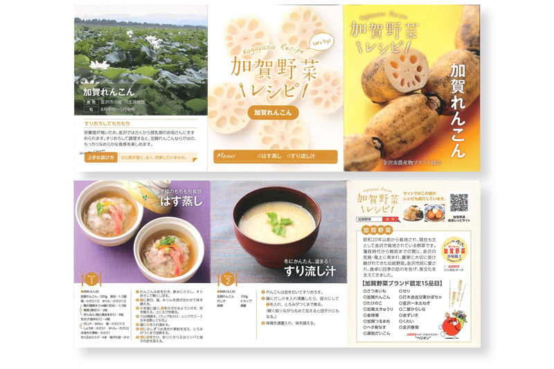 金沢・加賀野菜 ＞加賀れんこん 2～3本 ( Lサイズ 2kg以上 )