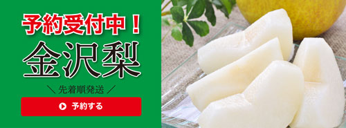 金沢梨