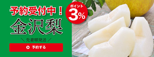 金沢梨
