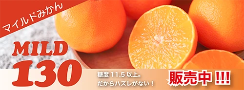 山川マイルド１３０みかん