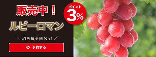 ルビーロマン販売中